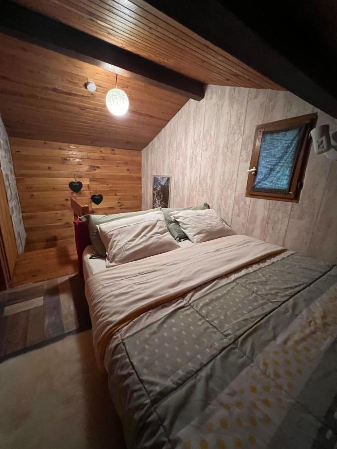Cabane Dans Les Bois Avec Vue Sur Les Pyrenees Saint-Laurent-de-Neste Exterior foto