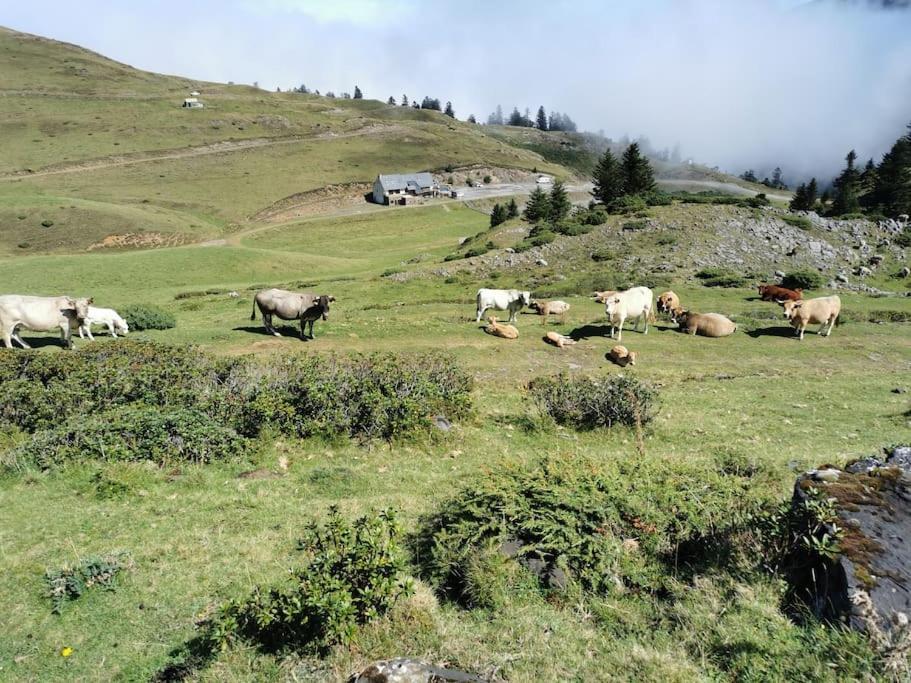 Cabane Dans Les Bois Avec Vue Sur Les Pyrenees Saint-Laurent-de-Neste Exterior foto